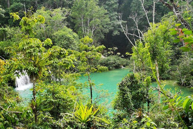 Roberto Barrios Waterfalls - A Detailed Look at the Roberto Barrios Waterfalls Tour