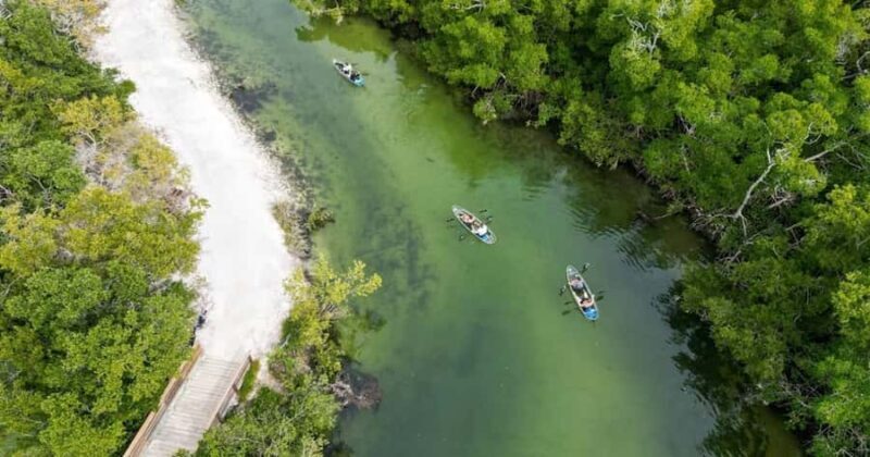 Robinson Preserve: Clear Kayak Ecotour - The Price and Value