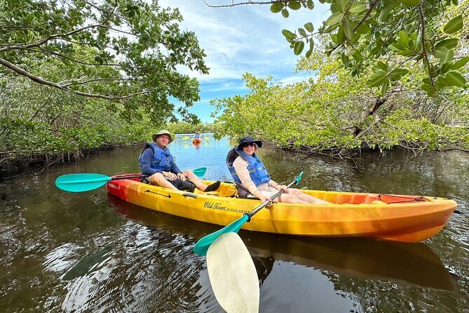 Robinson Preserve Mangrove Tour - What to Expect During the Tour