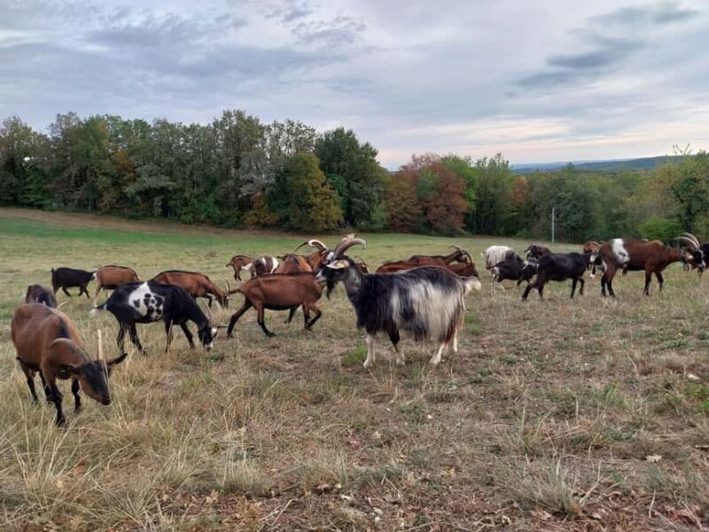 Rocamadour: Travel sketchbook - A Visual Feast with Practical Benefits