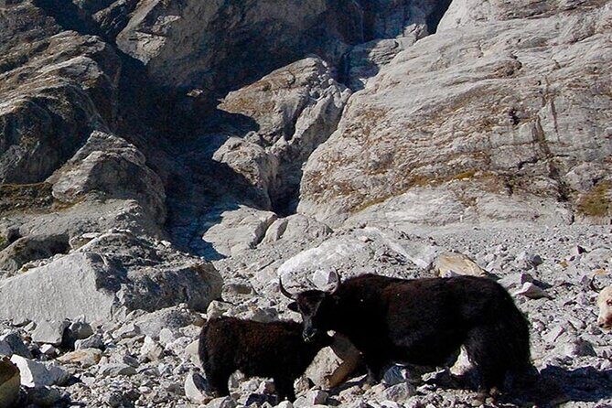Rock Climbing in Kathmandu - Day Tour - Who Is This Tour For?