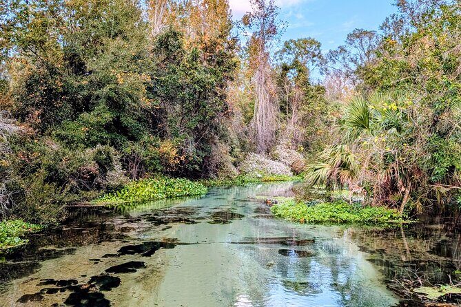 Rock Springs River Tubing & Apopka Wildlife Adventure with Pickup - In The Sum Up
