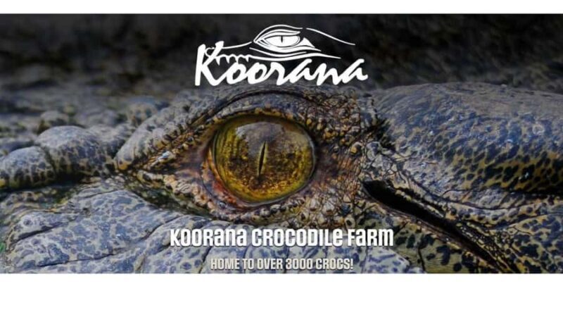 Rockhampton: Koorana Crocodile Farm Guided Tour - An Introduction to Koorana Crocodile Farm