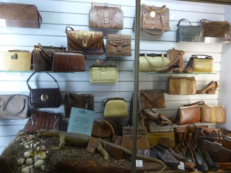 Rockhampton: Koorana Crocodile Farm Guided Tour - Up Close and Personal with Crocodiles