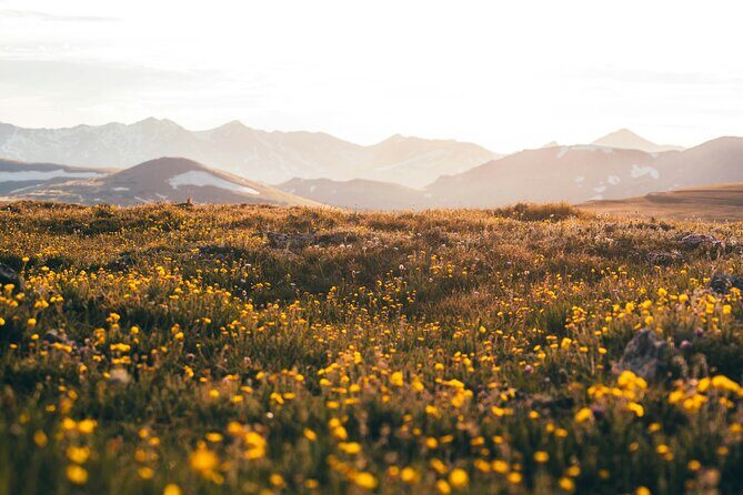 Rocky Mountain Full Day Private Tour & Hike from Denver / Boulder - FAQ