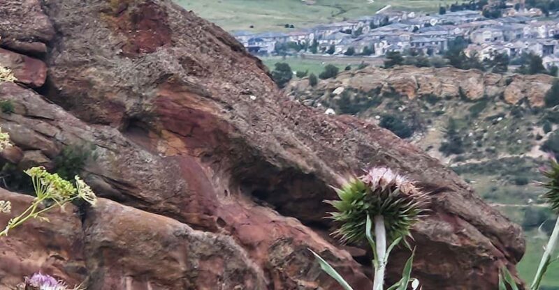 Rocky Mountain HIGH: Cannabis Mountain Tour - FAQs