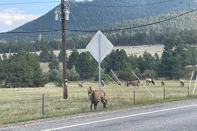 Rocky Mountain National Park Car Tour from Estes Park - FAQs