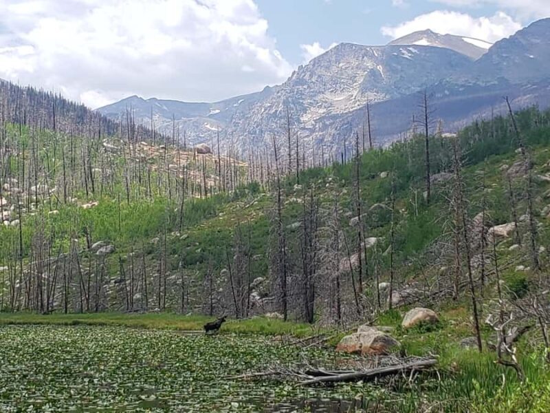 Rocky Mountain National Park: Full Day Hike with Lunch - Key Points