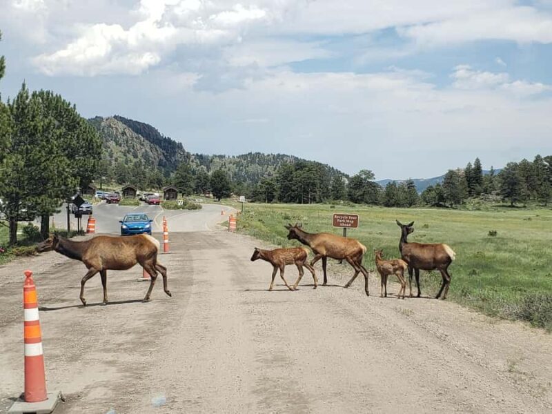 Rocky Mountain National Park: Half-Day Guided Hike - Authenticity and What Travelers Say