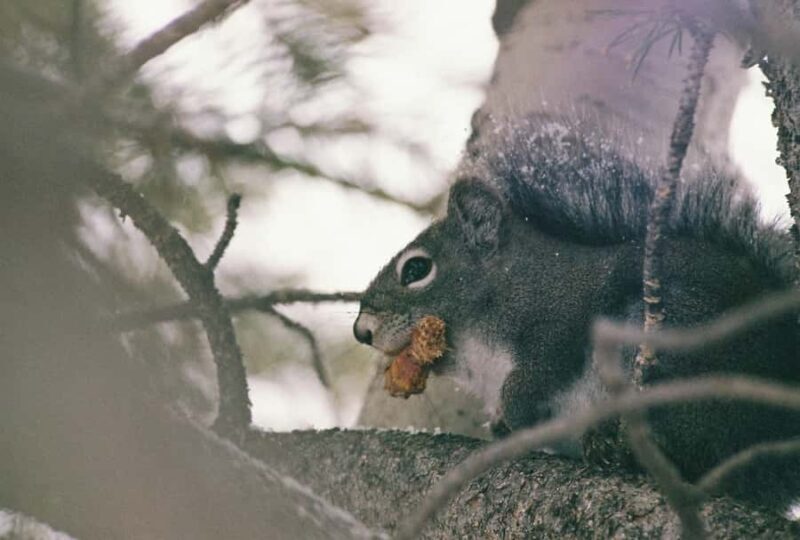 Rocky Mountain National Park: "Hiking Light" Nature Walk - FAQs