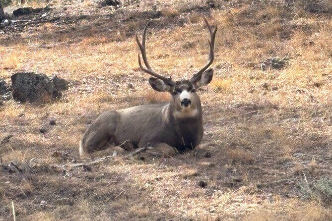 Rocky Mountain National Park Private Tour - A Deep Dive into the Rocky Mountain Private Tour
