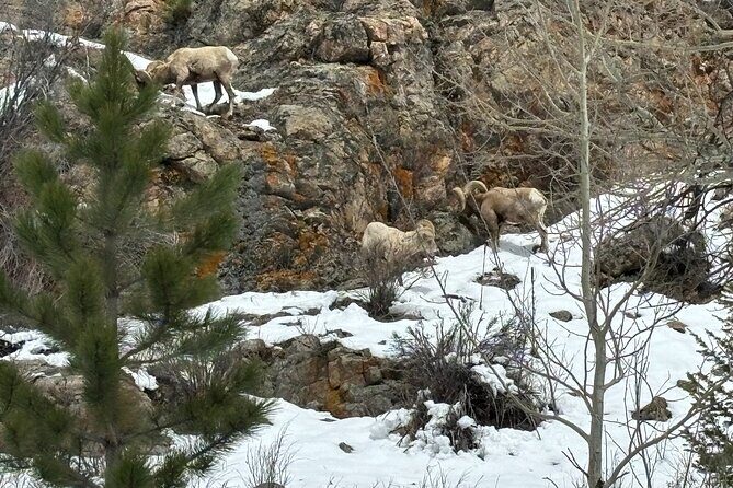 Rocky Mountain National Park Private Tour - FAQ