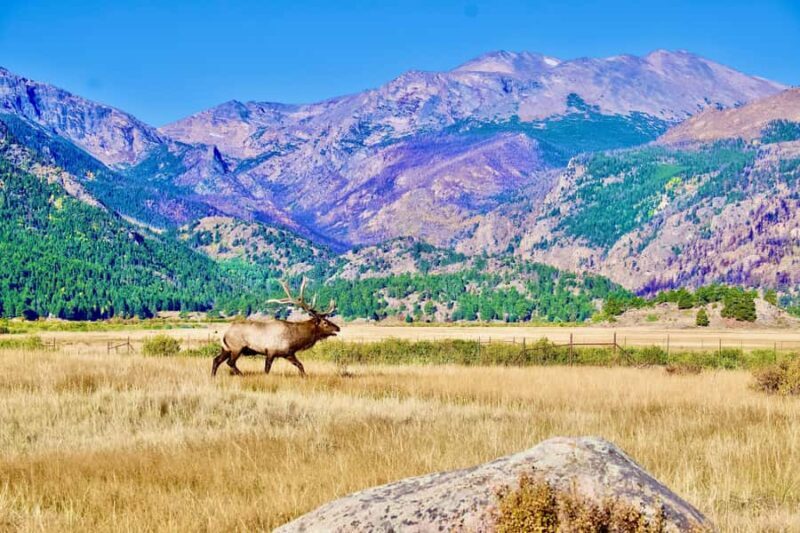 Rocky Mountain National Park: The Bear Lake Corridor - Frequently Asked Questions