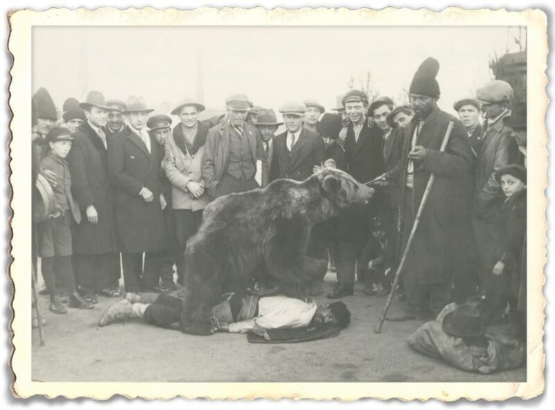 Roma Culture, Realities and Slavery History, Walking tour - What the Reviews Reveal