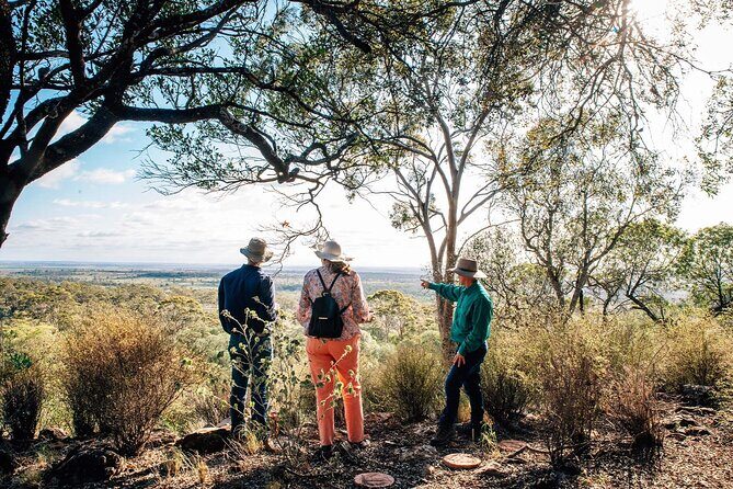 Roma: Landscape and Legacy Day Tour Including Lunch - Exploring the Outback Charm of Roma: Landscape and Legacy Day Tour