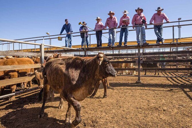 Roma: Landscape and Legacy Day Tour Including Lunch - Final Thoughts