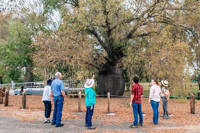 Roma Revelation Tour Experience - What the Tour Offers: An In-Depth Look