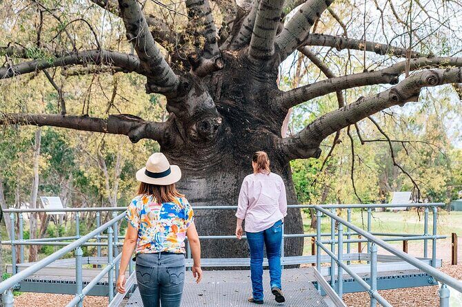 Roma Revelation Tour Experience - Why the Roma Revelation Tour Works for Travelers