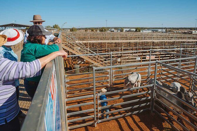 Roma Revelation Tour Experience - Cancellation Policy and Practicalities