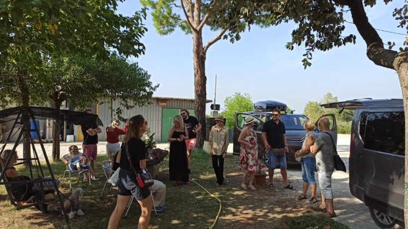 Romagna: Wine Tour with The Winemaker - Key Points