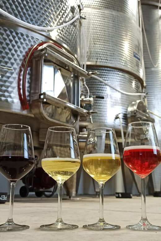 Romagna: Wine Tour with The Winemaker - A Detailed Look at the Romagna Wine Tour