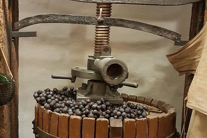 Roman Countryside: Wine and Food Tasting, Semi-Private Day Tour - In-Depth Itinerary Breakdown