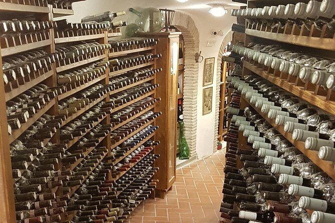 Roman Countryside: Wine and Food Tasting, Semi-Private Day Tour - The Sum Up