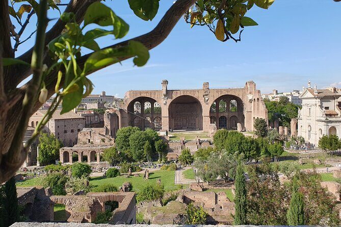Roman Forum and Palatine Hill Access - In-Depth Look at the Experience