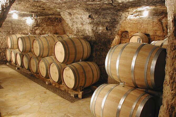 Roman heritages and Chateauneuf du Pape Wine Tour from Avignon - An In-Depth Look at the Tour Experience