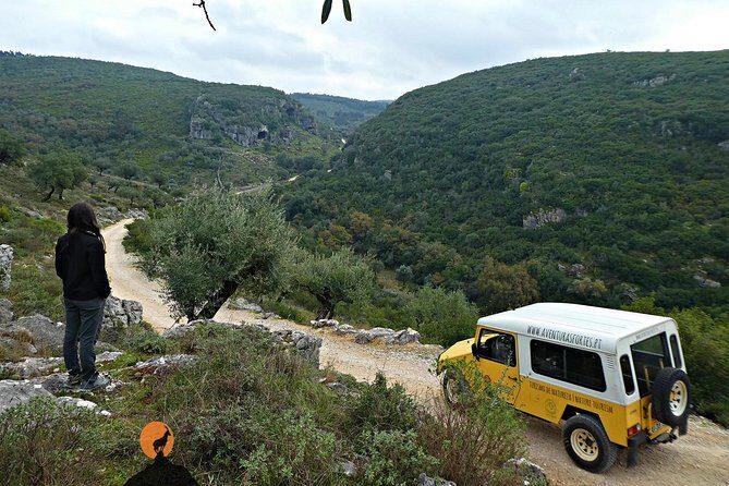 Roman Ruins of Conímbriga, Penela Castle and Buracas do Casmilo - Who Will Love This Tour?