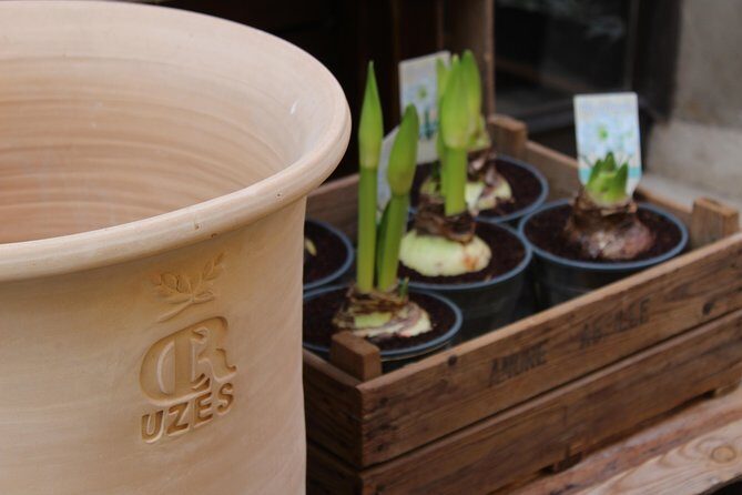 Roman Sites and Historical Places Day Trip from Avignon - Authentic Experiences and Hidden Gems