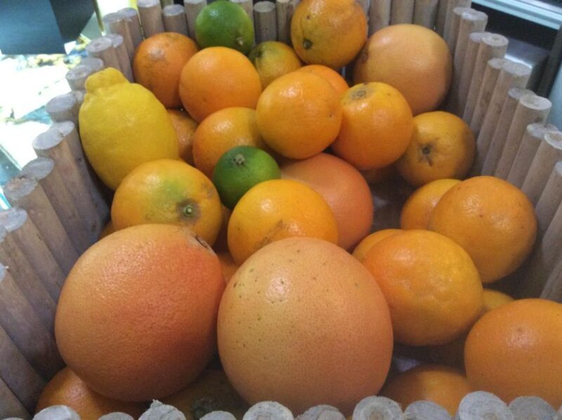 Roman Vegetarian Food Tour - The Itinerary: What You’ll Experience