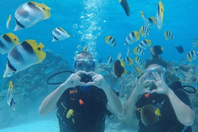Romantic Dive for beginners in Bora Bora (2 people) with Video - Key Points