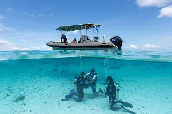 Romantic dive in the lagoon of Bora Bora. Private instructor on a shared boat - Why This Tour Excels
