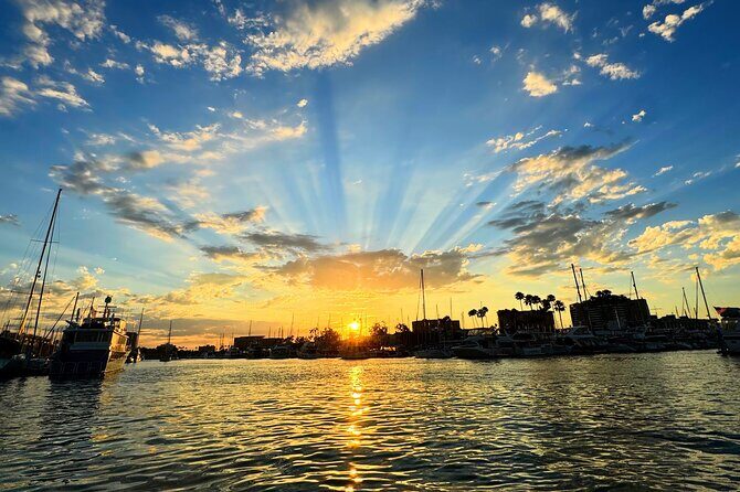 Romantic Luxury Boat Cruise with Wine Cheese Sea LionTours - The Experience for You
