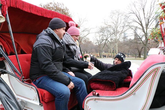 Romantic/Proposal Central Park Carriage Tour (Up to 4 Adults) - Who Is This Tour Best Suited For?