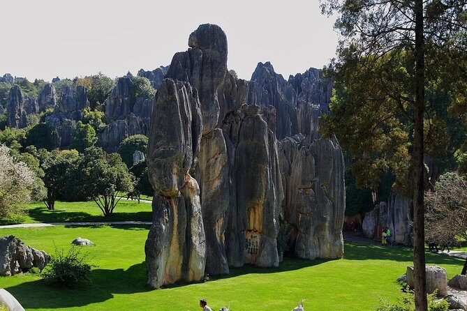 Romantic Tour in Kunming - Discovering Kunming’s Romantic Side