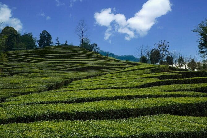 Romantic Tour in Yichang - Key Points