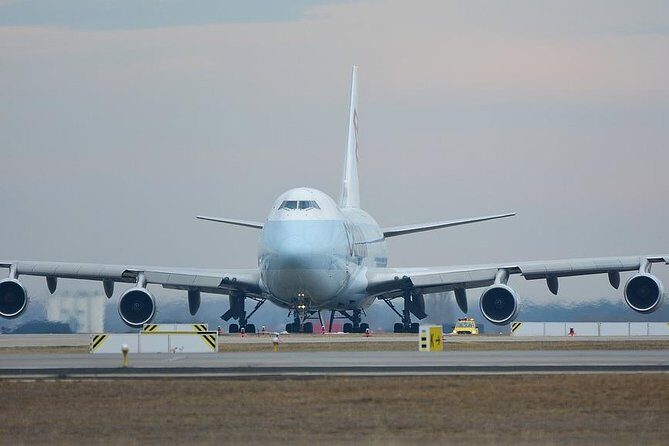 Rome airport to Civitavecchia - Detailed Breakdown of the Experience