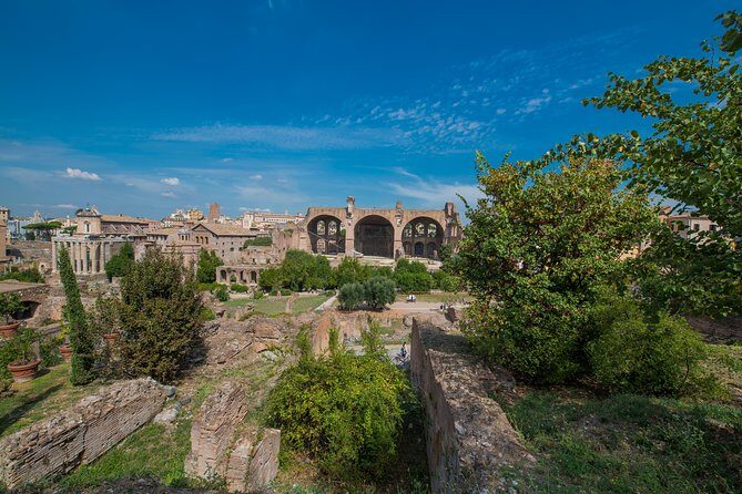 Rome: Colosseum Arena, Roman Forum & Palatine Hill Tour - Is This Tour Right for You?