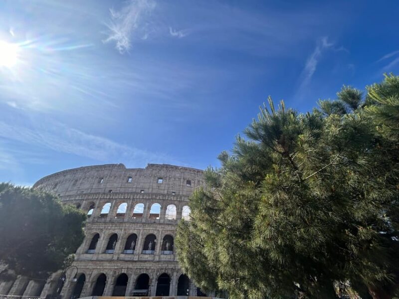 Rome: Colosseum Arena, Roman Forum & Palatine Tour - Guided Tour Quality and Personal Experience
