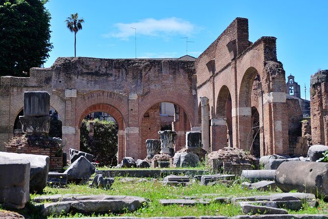 Rome: Colosseum, Palatine Hill and Roman Forum Tour - Who Should Book This Tour?