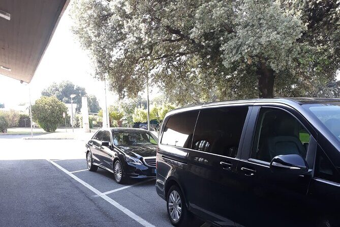 Rome Countryside Delights: Exclusive Wine Tasting Tour - What Makes This Tour Stand Out?