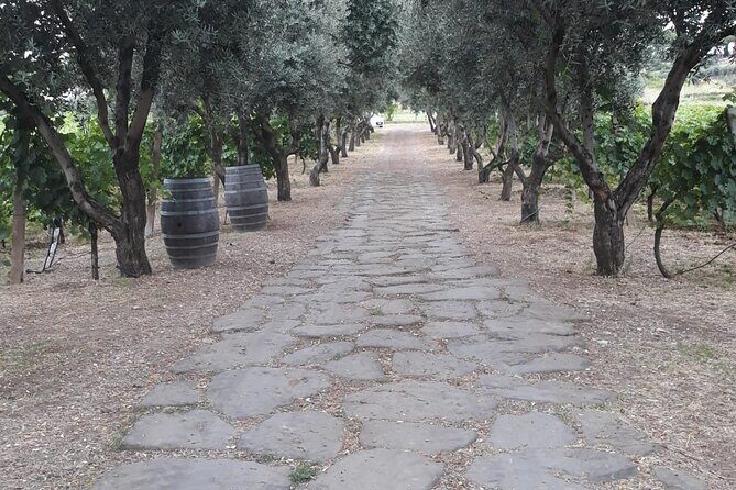 Rome Countryside Vineyards and Wine Tasting - Private Tour - FAQ