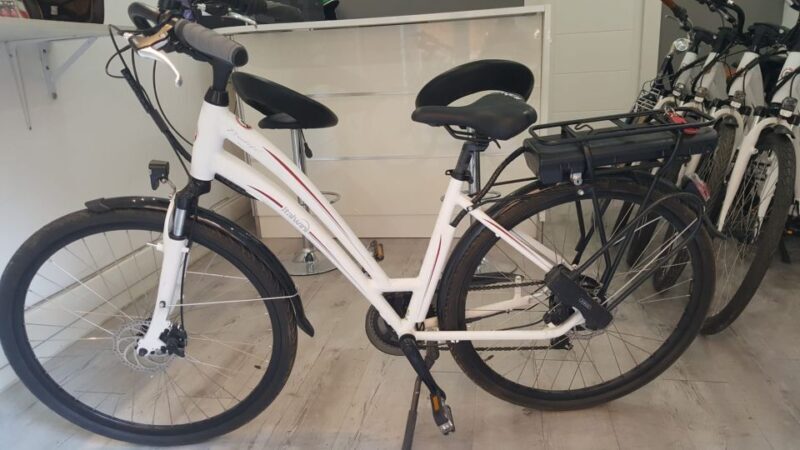 Rome: Electric Bike Rental Service - Who Will Love This Experience?