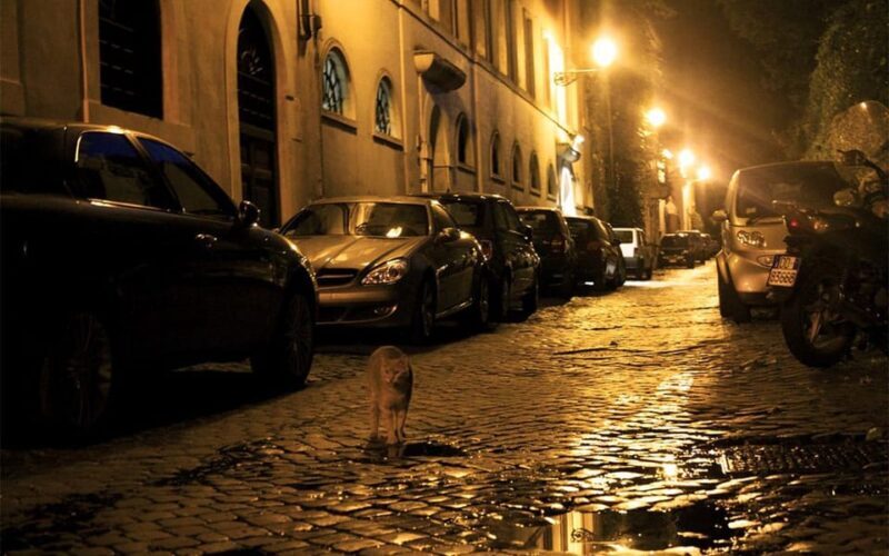 Rome: Ghosts Inquisition in Dark Backstreets Walking Tour - The Sum Up