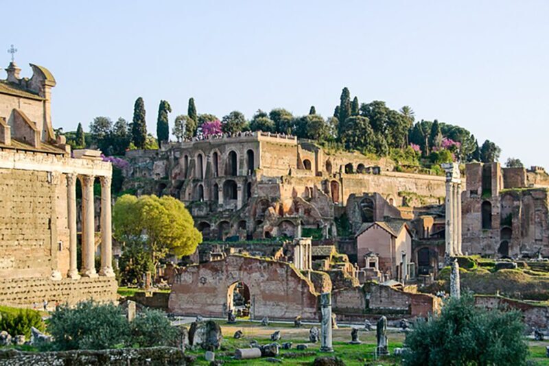 Rome: Guided Tour of Colosseum, Roman Forum & Palatine Hill - A Closer Look at What You Can Expect