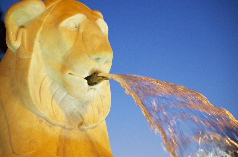 Rome: Historic Squares Guided Walking Tour - Practical Details and Tips