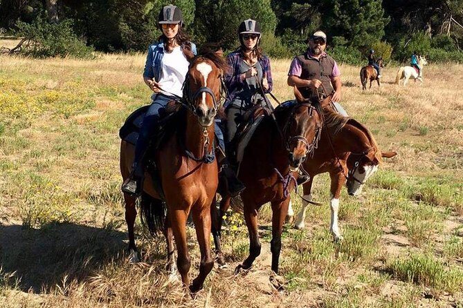 Rome : Horseback Riding with meals and wine included - Who Should Consider This Experience?