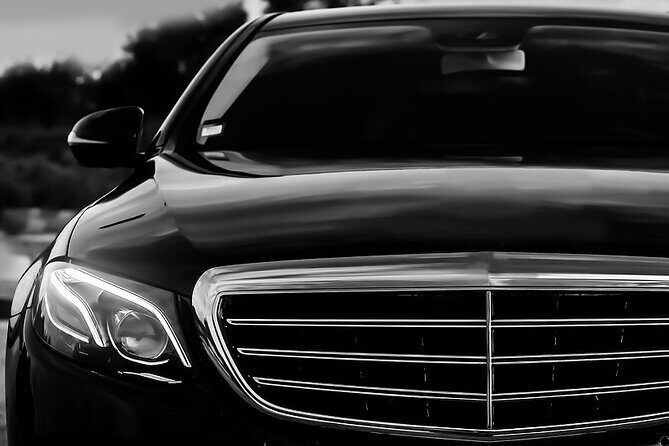 Rome Hotel to Civitavecchia Cruise Ship Port Private Transfer - What the Reviews Tell Us